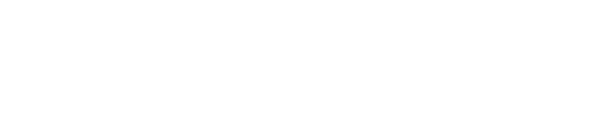 TechnoWire_logo_white